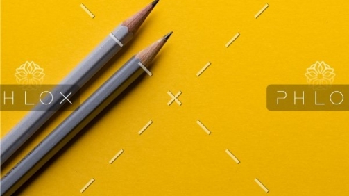 demo-attachment-554-joanna-kosinska-1_CMoFsPfso-unsplash@2x