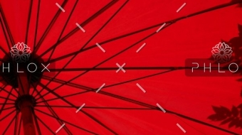 demo-attachment-1549-loic-furhoff-YERwza88a0o-unsplash@2x