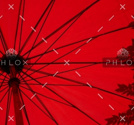 demo-attachment-1549-loic-furhoff-YERwza88a0o-unsplash@2x